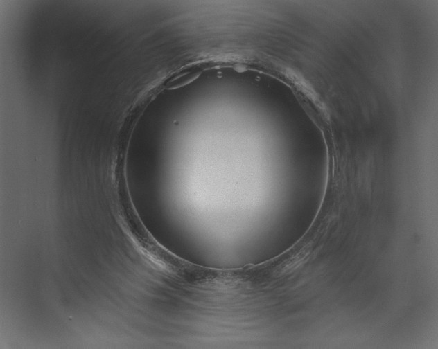 X0000073890201200608251440