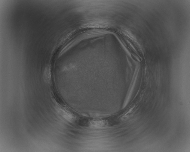 X0000073890202200608251440