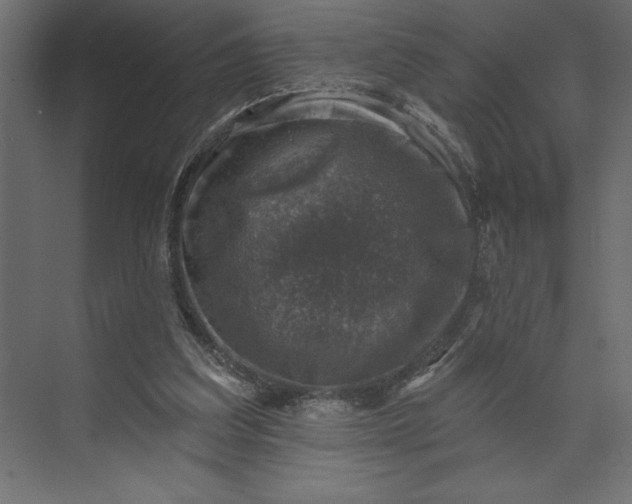 X0000073890203200608251440