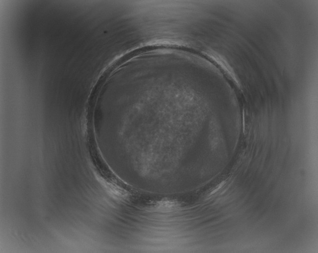 X0000073890204200608251440