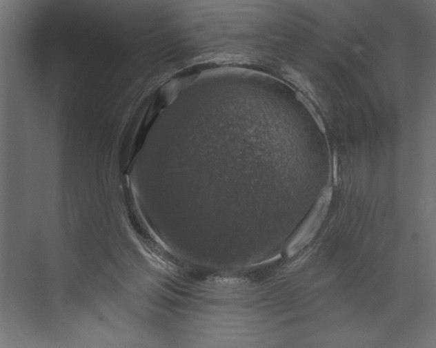 X0000073890205200608251440