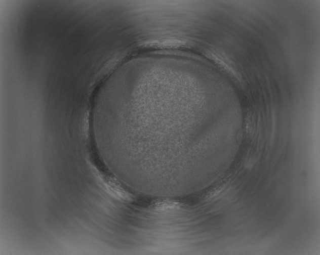 X0000073890206200608251440