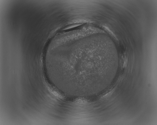 X0000073890207200608251440