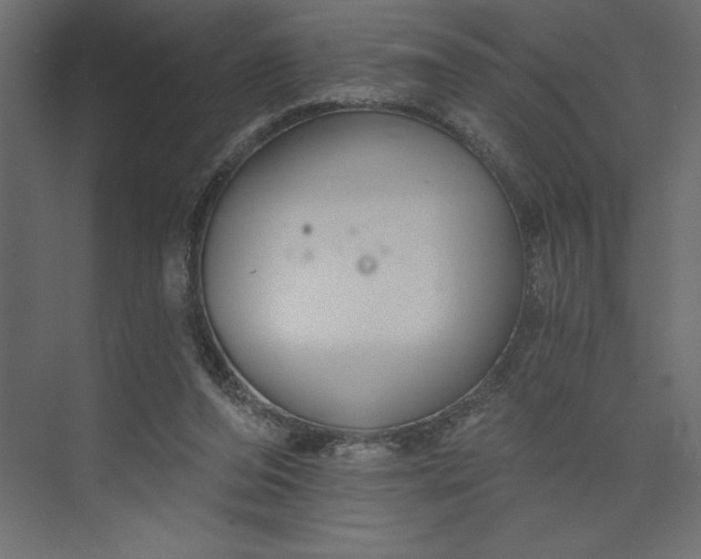 X0000073890208200608251440