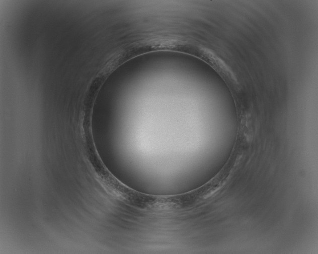 X0000073890209200608251440