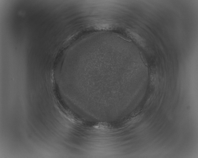 X0000073890211200608251440