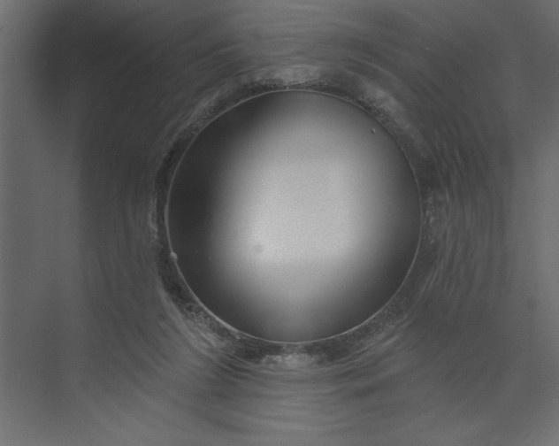 X0000073890212200608251440