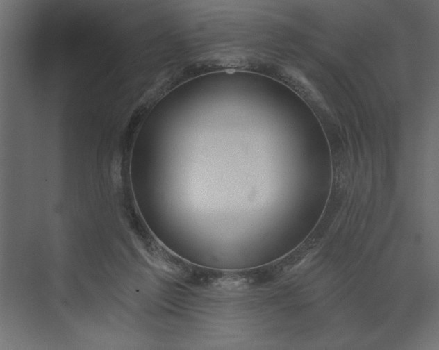 X0000073890213200608251440