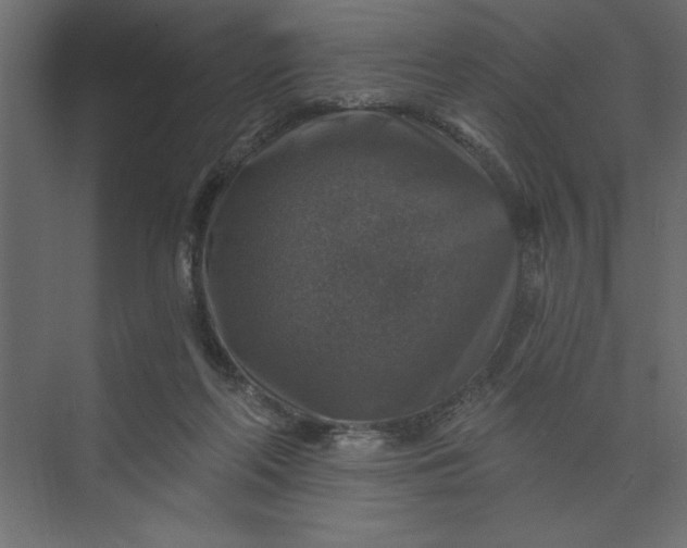 X0000073890214200608251440