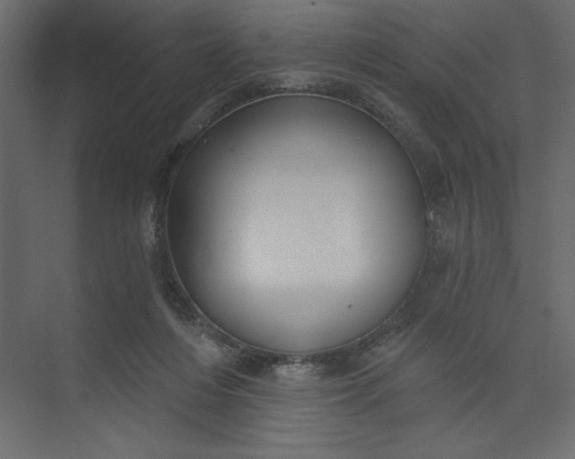 X0000073890216200608251440