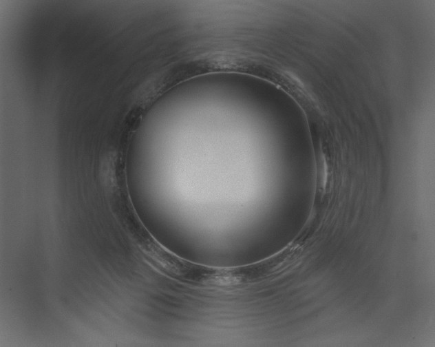 X0000073890217200608251440