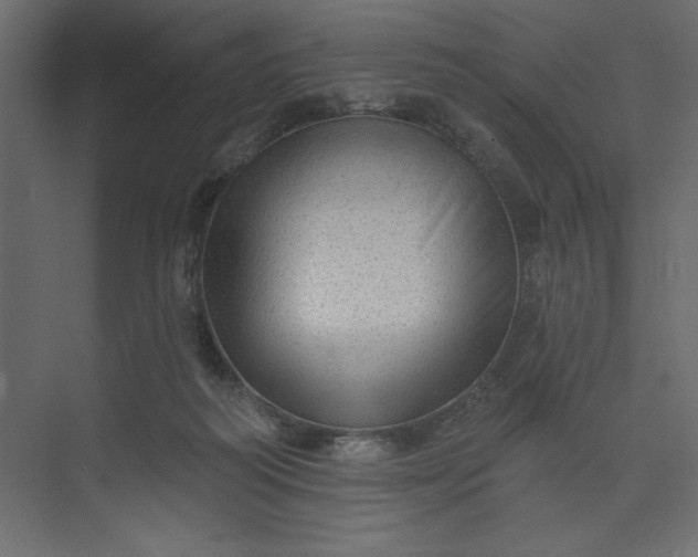 X0000073890218200608251440