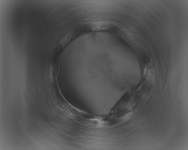 X0000073890219200608251440