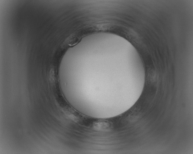 X0000073890220200608251440