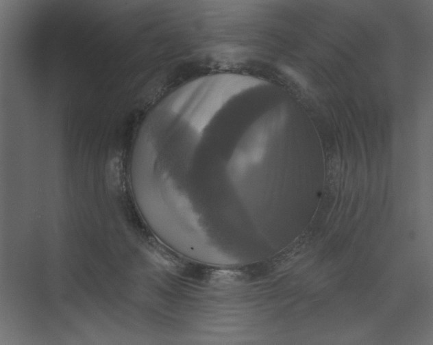 X0000073890222200608251440