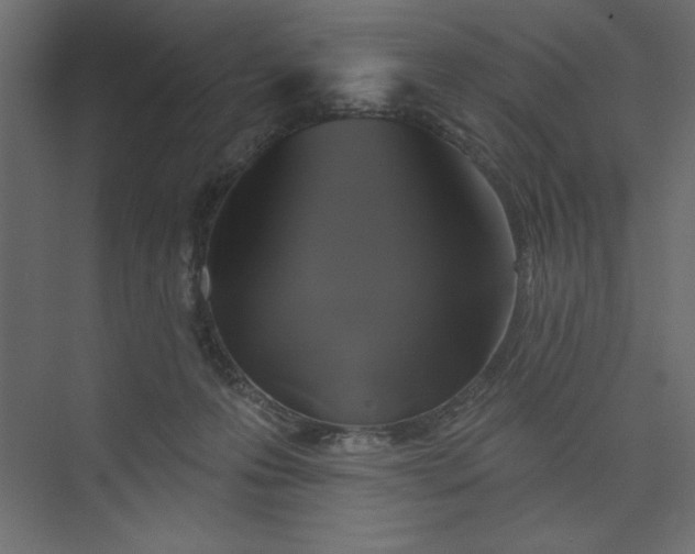 X0000073890223200608251440