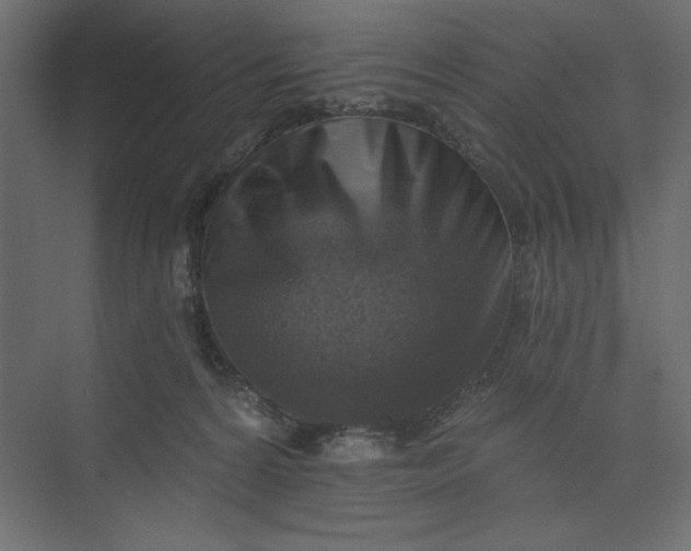 X0000073890224200608251440