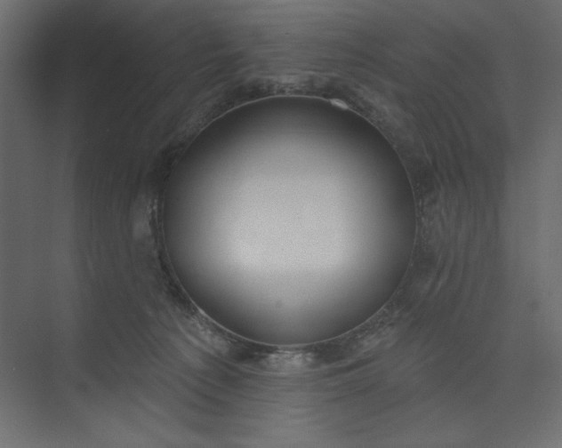 X0000073890225200608251439