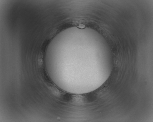 X0000073890226200608251439