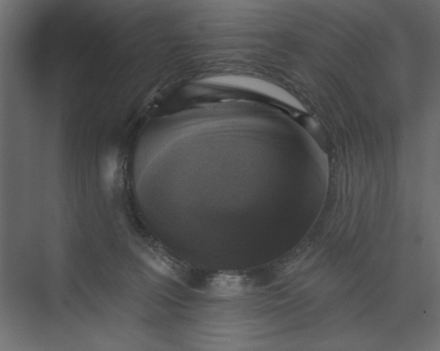 X0000073890227200608251439