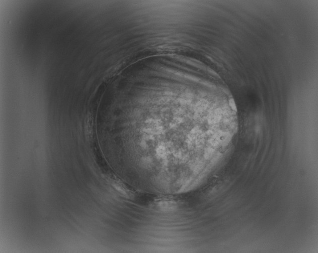 X0000073890228200608251439