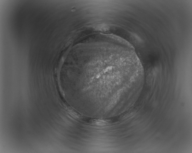 X0000073890229200608251439