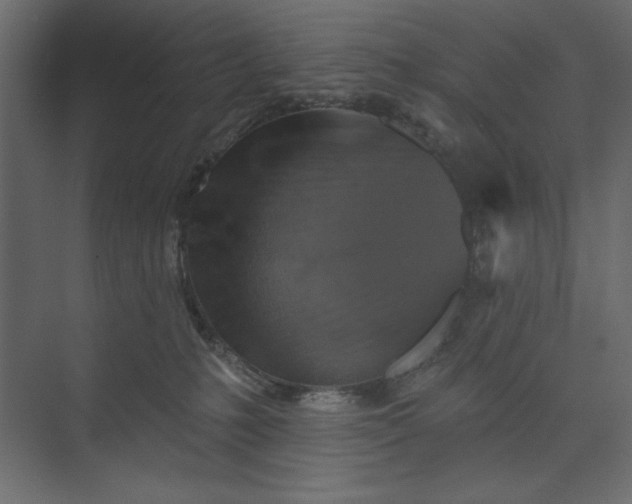 X0000073890231200608251439