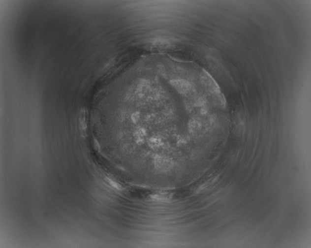 X0000073890232200608251439