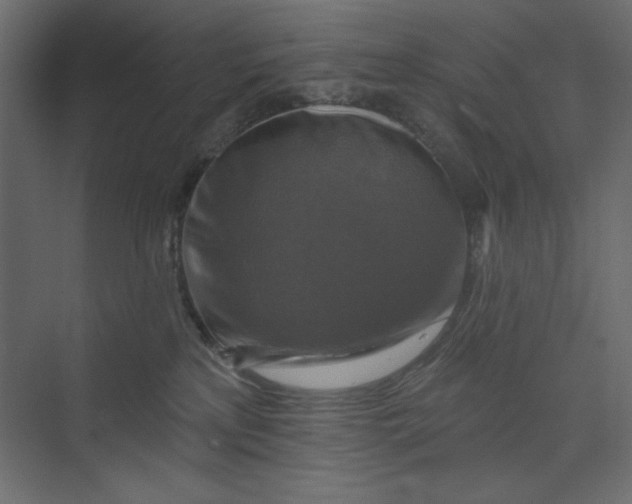 X0000073890233200608251439