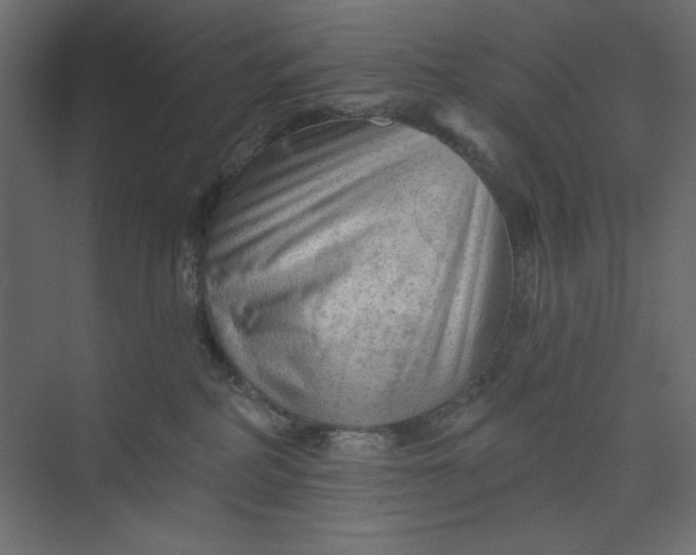 X0000073890234200608251439