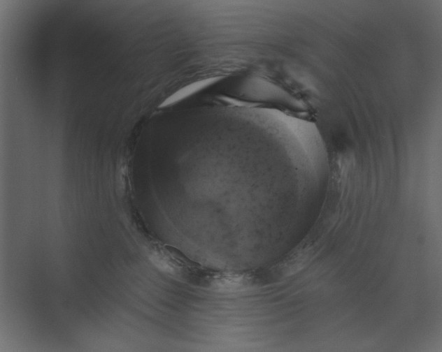 X0000073890235200608251439