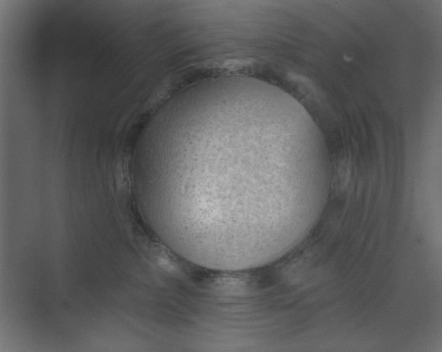 X0000073890236200608251439