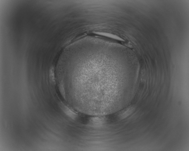 X0000073890238200608251439