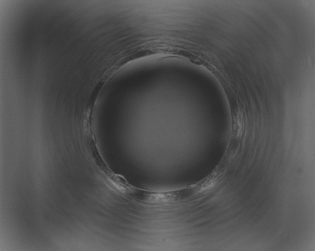 X0000073890239200608251439