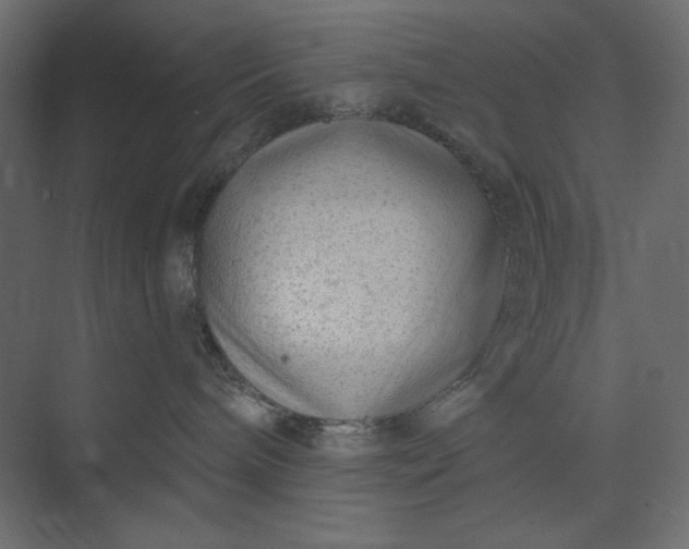 X0000073890240200608251439