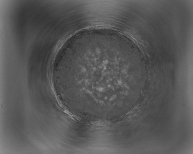 X0000073890241200608251438