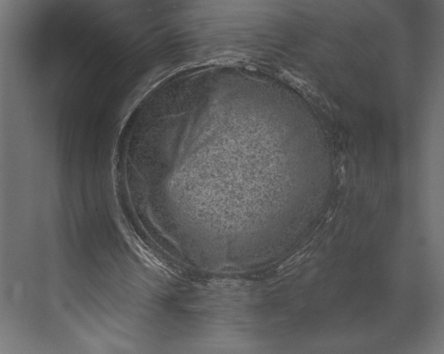 X0000073890242200608251438