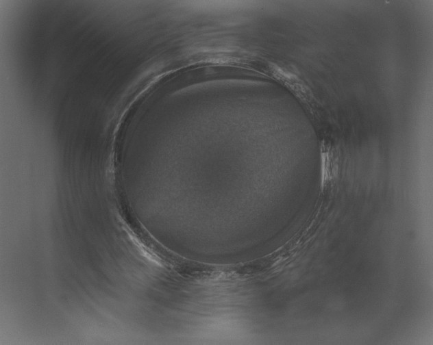 X0000073890243200608251438