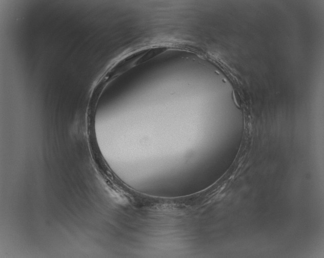 X0000073890244200608251438