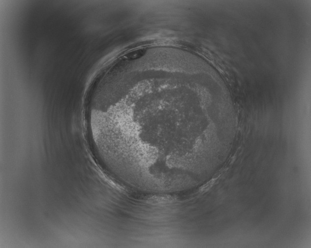 X0000073890245200608251439