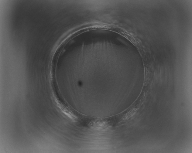 X0000073890247200608251439