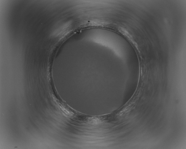 X0000073890249200608251439