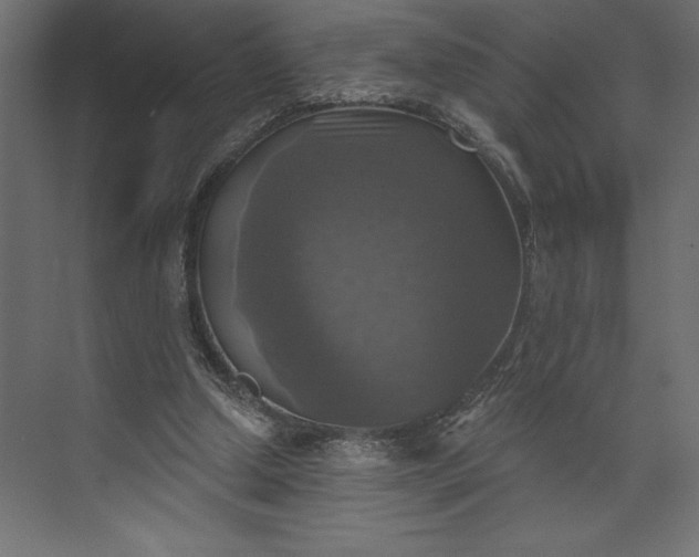 X0000073890250200608251439