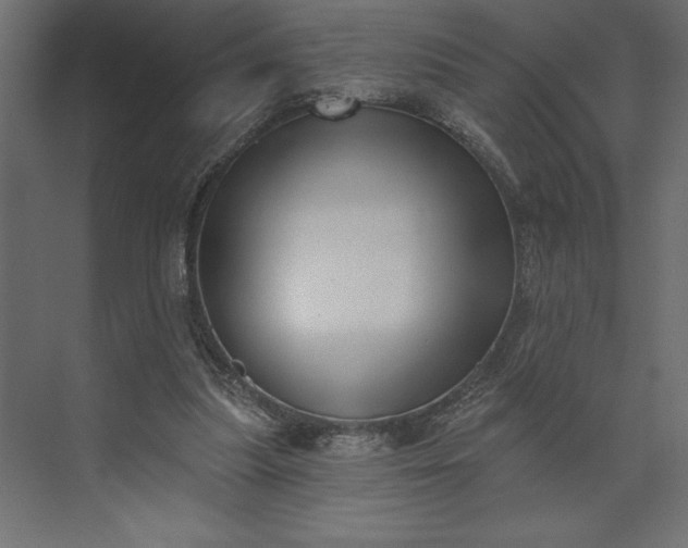 X0000073890251200608251439