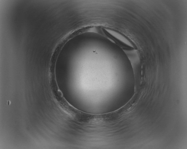 X0000073890252200608251439