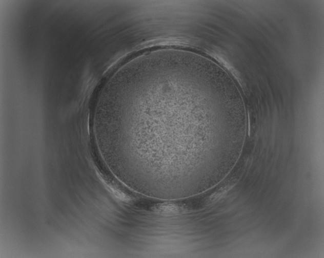 X0000073890253200608251439