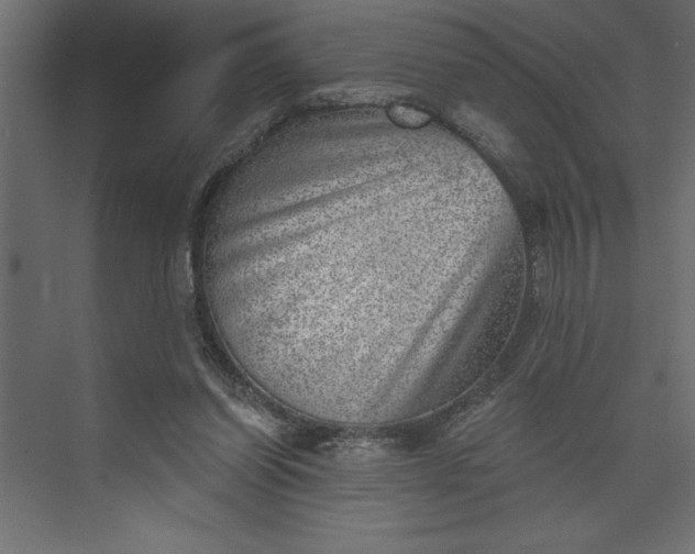 X0000073890254200608251439