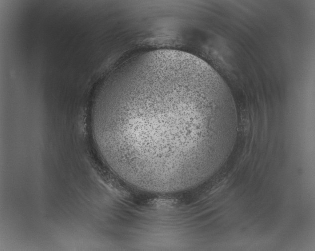 X0000073890255200608251439