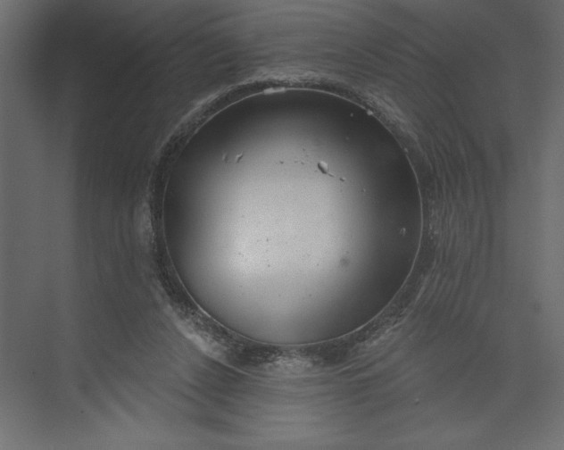 X0000073890256200608251439