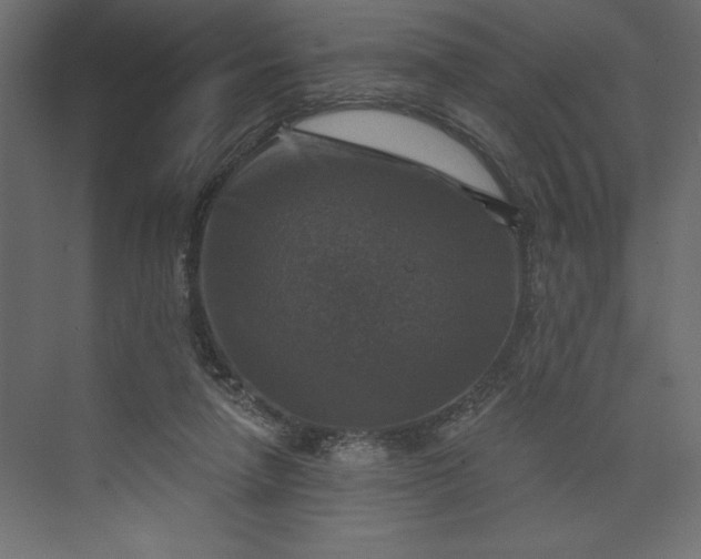 X0000073890258200608251439